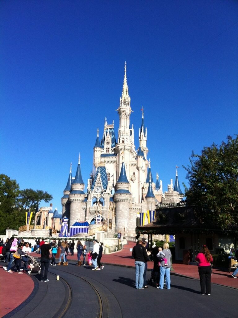 disney world, cinderella's castle, orlando florida, amusment park, vacation, childhood, attraction, people, child, happy, travel, holiday, entertainment, resort, blue happy, blue park, blue castle, blue happiness, disney world, disney world, disney world, disney world, disney world