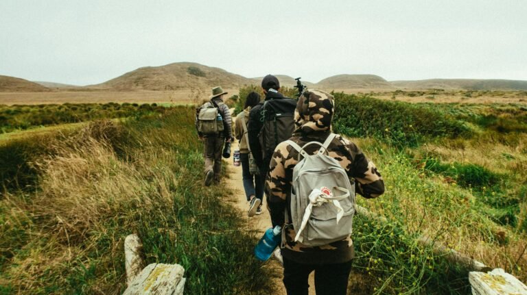 A group of hikers walking along a scenic trail through grassy and mountainous terrain.